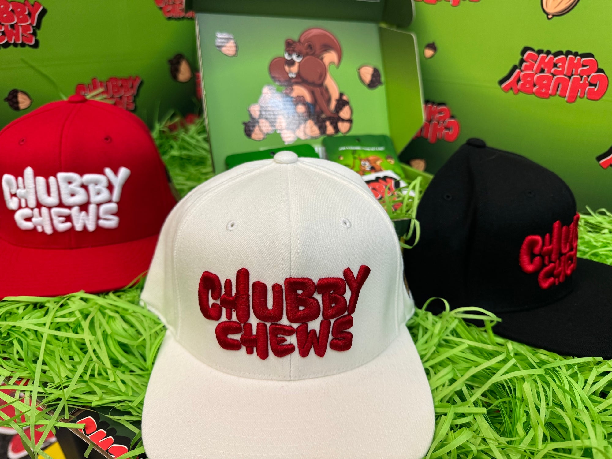 Snap Back (Limited Edition)